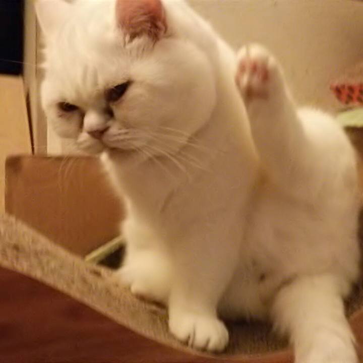 Fd7508c2 e4fa 4076 b74b 063327b206cf