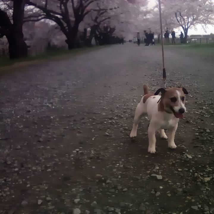 Fd756cc5 36ab 4ba7 87ec 5f38640e8337