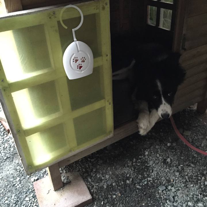 Fd75d2d7 59c7 4ede 9cc1 dda08ebdca17