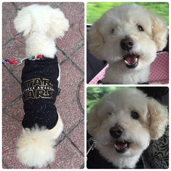 Fd75ecca 3fa3 4518 bfa1 ef519452622c