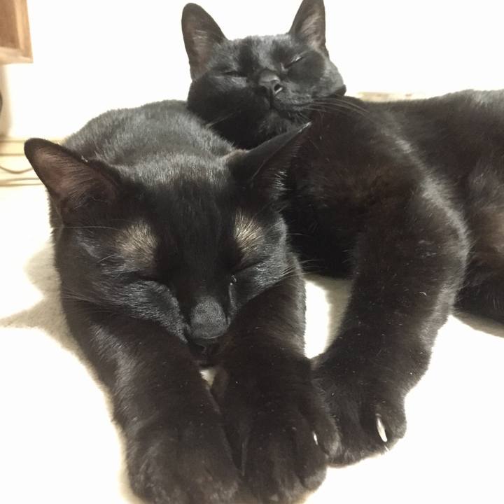 Fd7712ae 2ad0 48bc bb8b 3723a4c794bd