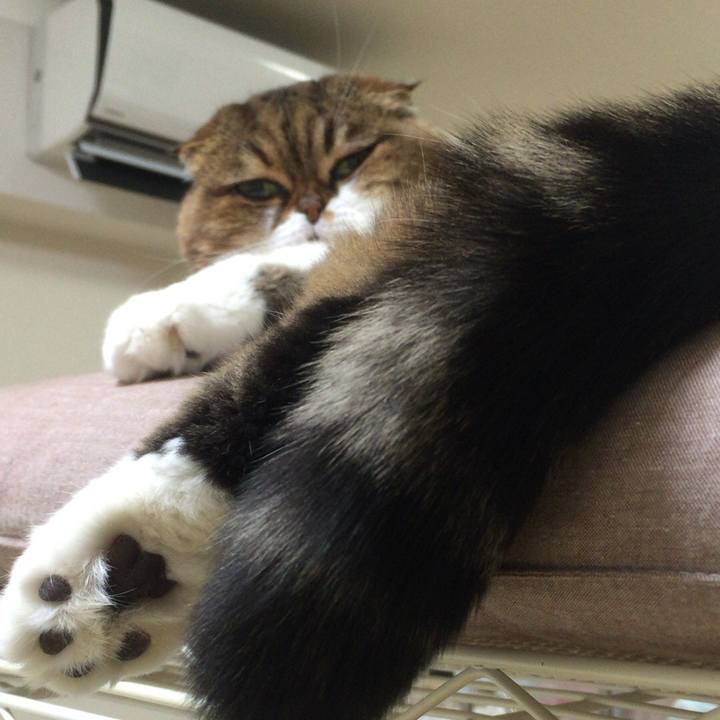 Fd7854d5 4e98 440b b5ea 770565131600