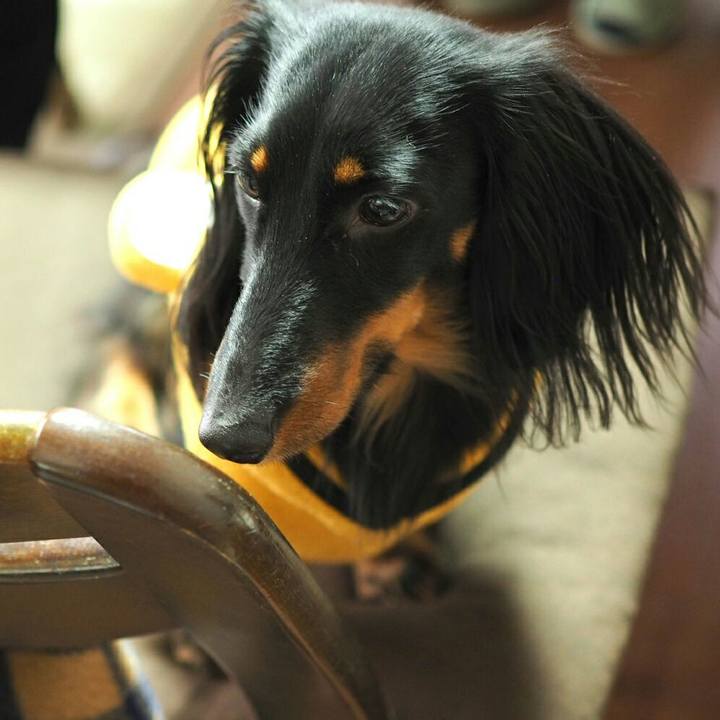 Fd7860eb 93f7 4230 b786 9986820bd34b