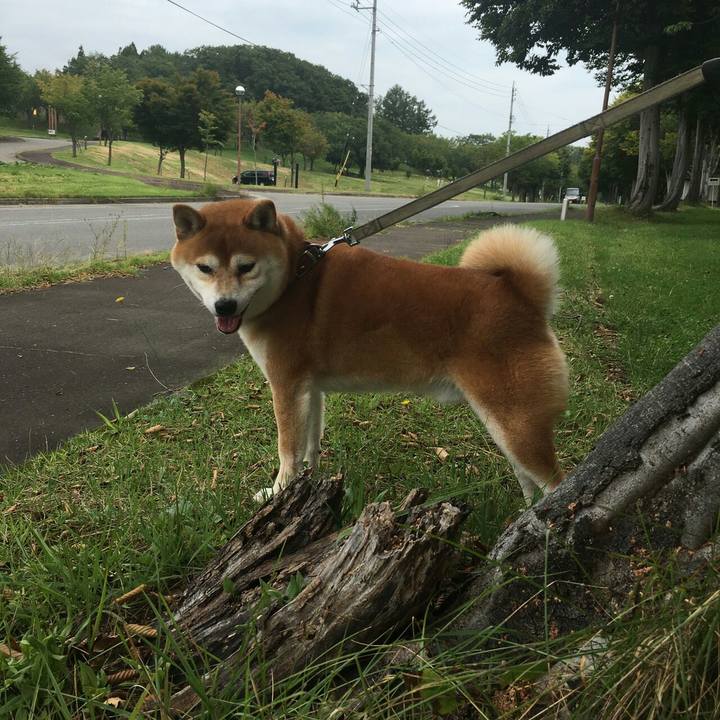 Fd78c49a 4126 477d 869e f920ad72f97e