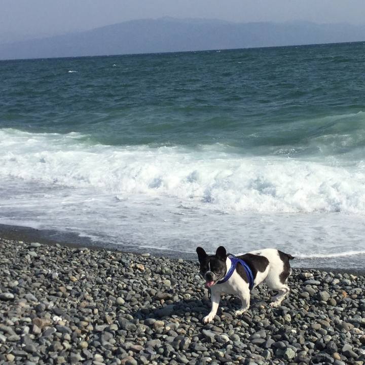 Fd79690a b388 49b5 b238 fd2c8350fd34