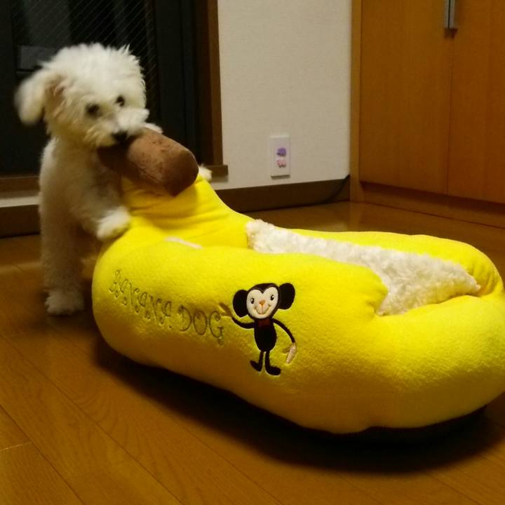 Fd7997d8 2b1f 4c09 9065 0d2cd444c38b