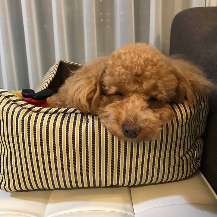 Fd79c0f1 7e00 4ef5 b899 89d730f37267