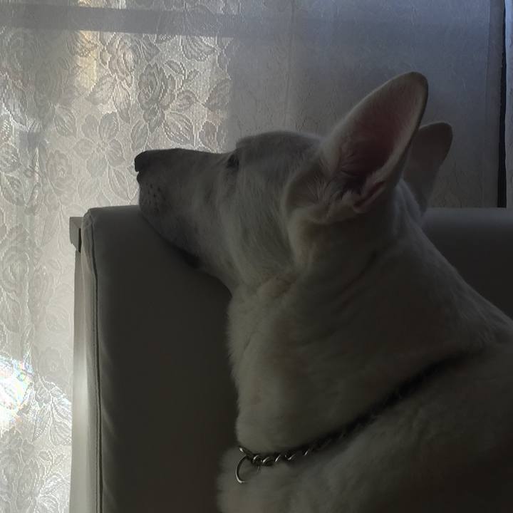 Fd7a1992 cce0 45b2 8836 4c6547676b28