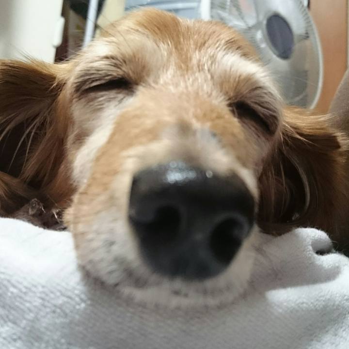 Fd7a40c7 add9 4692 a273 9cb1d7aa3e4d