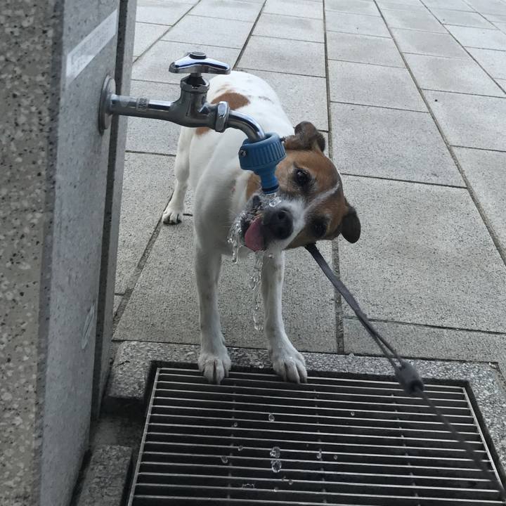 Fd7b5e70 5c74 4bfb b3fc 5e6bbfdbfc67