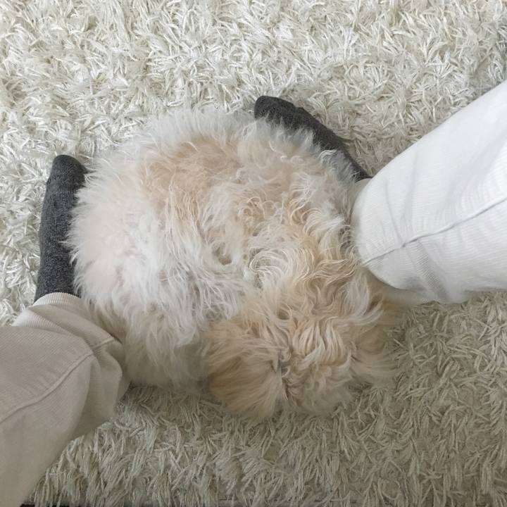 Fd7c0b19 cef2 4b79 b538 b511086b4180