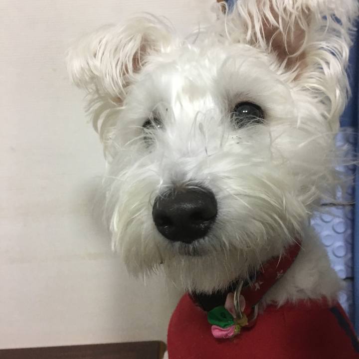 Fd7c3869 a95a 44a5 9e0e fb956bf9207a