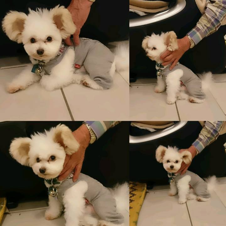 Fd7c8d10 ac2f 4775 b3df 18046dc43d40