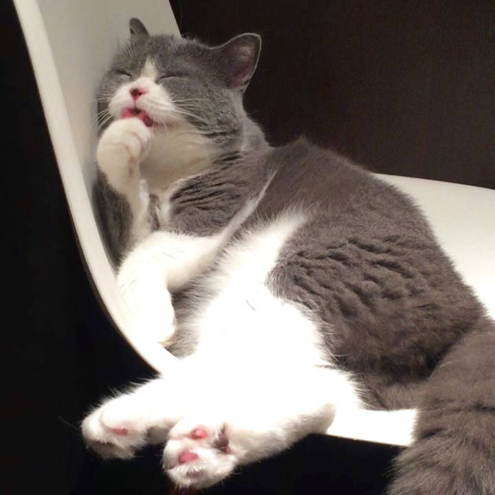 Fd7cdb1a b845 4791 a83e fd34b82d485d