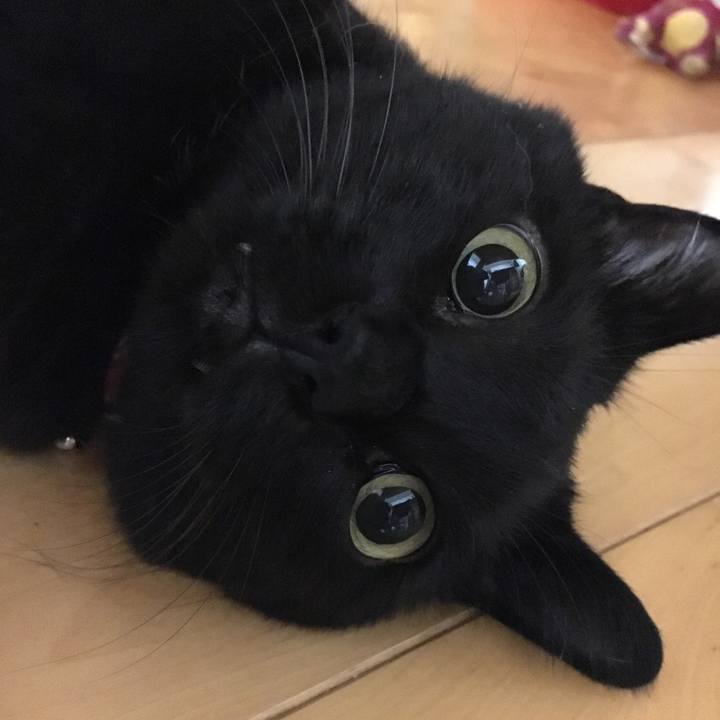 Fd7d07dc d1e4 4eb8 a466 cbb520f95afb