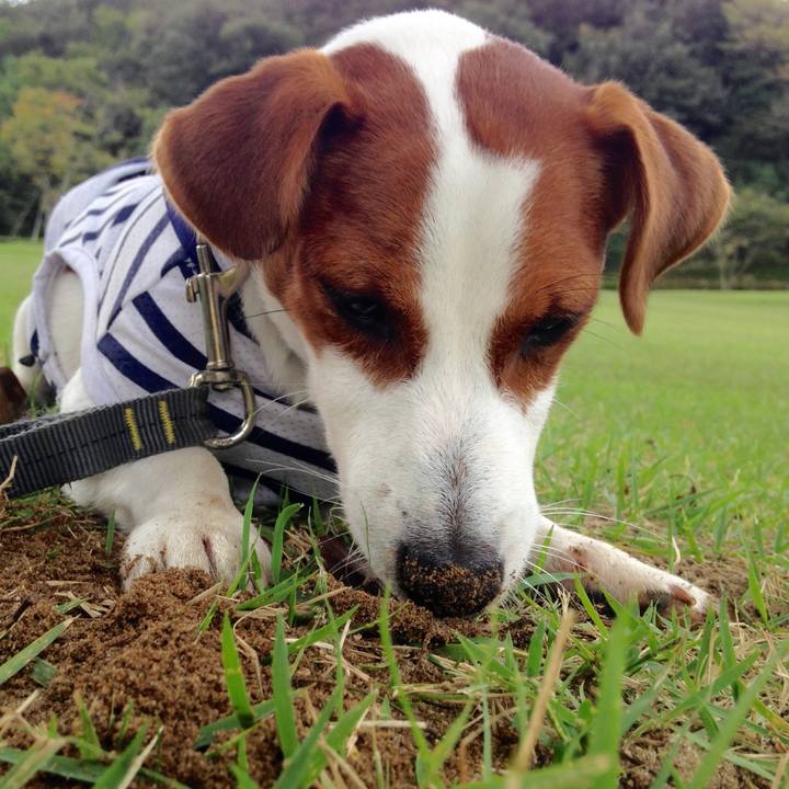 Fd7d4441 6385 461a ab25 2f0b139d1c8d