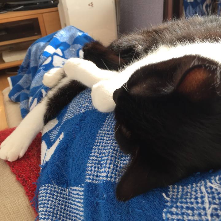 Fd7d783e 6b5a 4a14 8f70 777636260e31