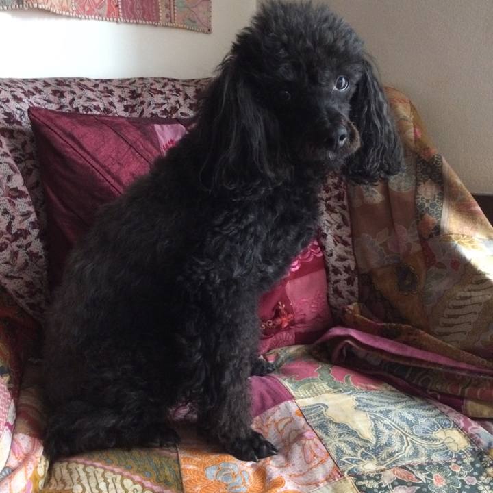 Fd7dd360 b858 43dd 9fb4 c8e8c3c0e8f4