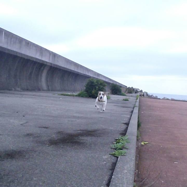 Fd7ddbc1 37b9 4c0c 8928 dbdcb3eb1df9