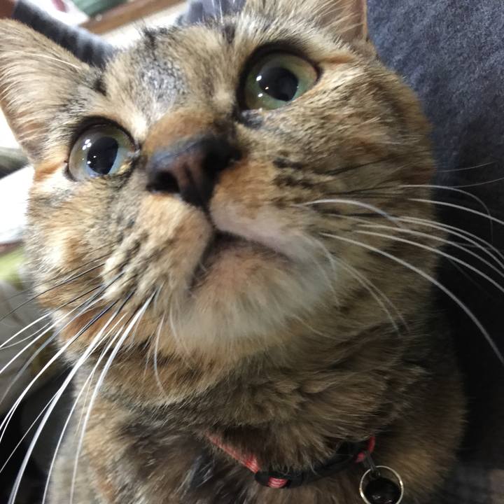 Fd7df49c da7e 4846 90c4 ff9a46ef2c9d