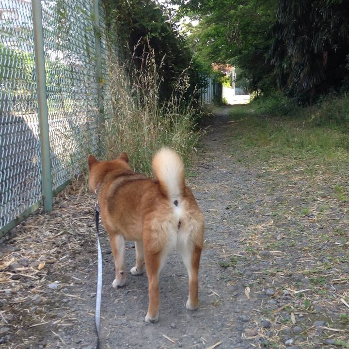 Fd7e1e7f 665f 4acc 8ec3 31c357e9a047