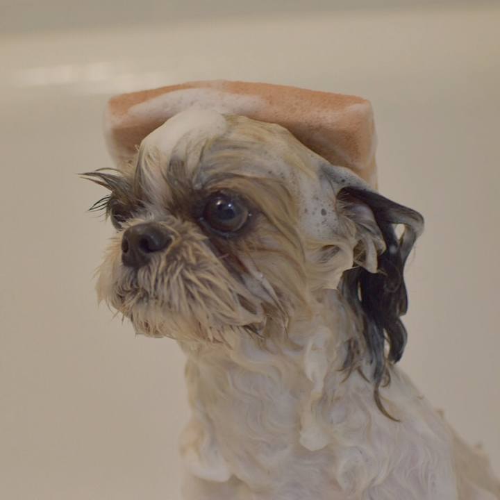 Fd7e2fa8 fcbc 4338 92ca 8fd0a4d6276a