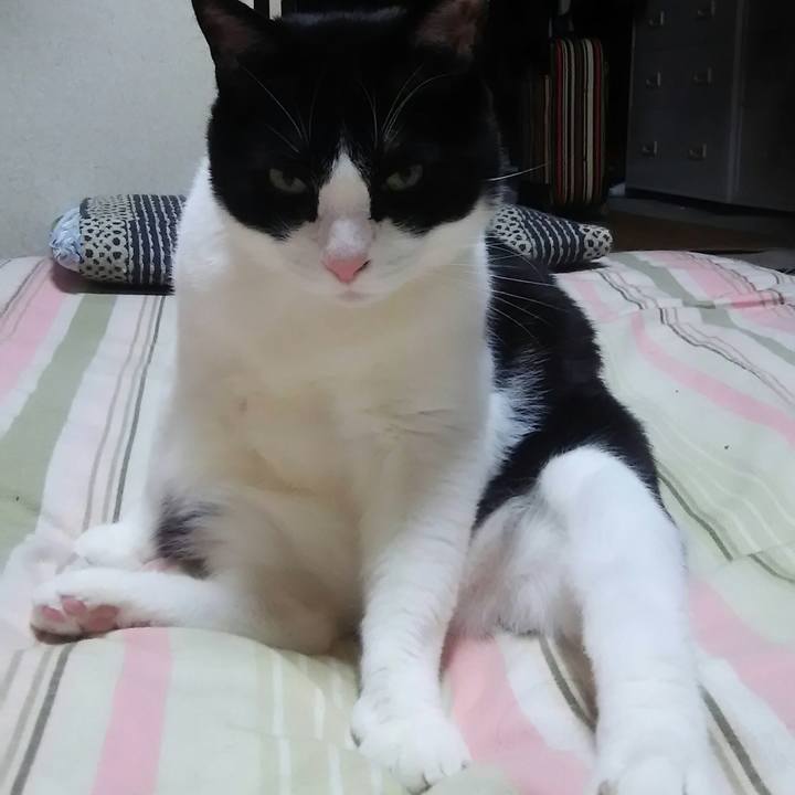 Fd7e6c77 3b1a 480a 9d1d 27703226aeb1