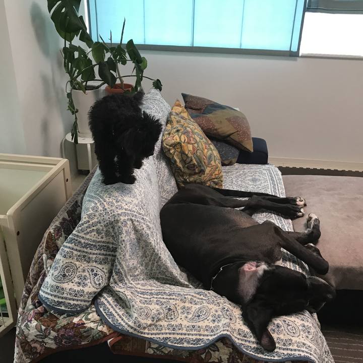 Fd7ef17a 4802 4f6f 9376 a28d6fb8d6e1