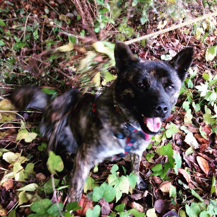 Fd7f1263 8a3b 443f a193 00cbf4649d53