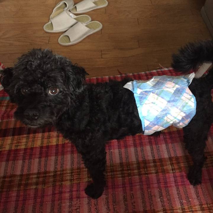 Fd7f46d2 f65f 4f6e 9bb2 ba7bab09c887