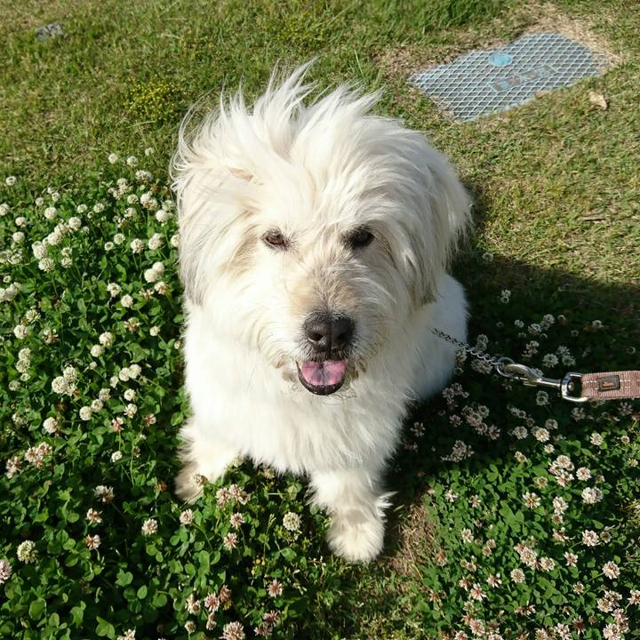 Fd7f7a15 ea3a 4783 b481 47c07f904119