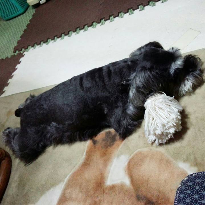 Fd7fd6de 8a22 41c2 9f20 89812141950f