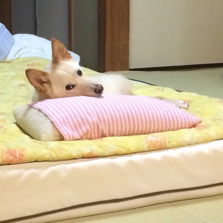 Fd7fde34 6438 4d7e 8aef 1daad40a3e1e