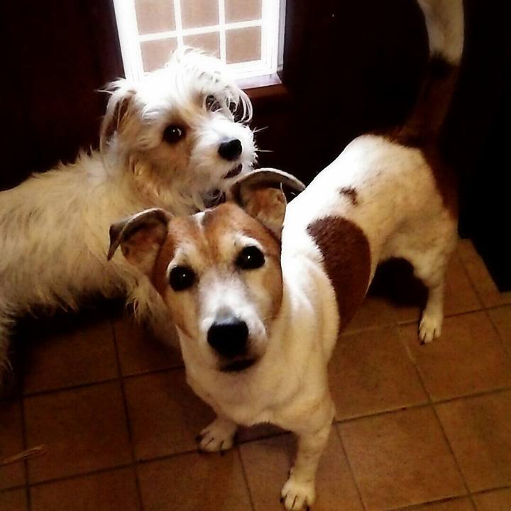 Fd800a1d 14c7 4a59 ab56 f1cd0c975b9d