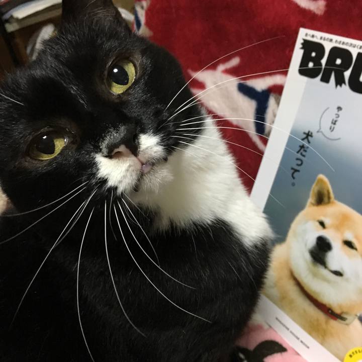 Fd8064dd f869 4579 a7e5 c219a849a66f