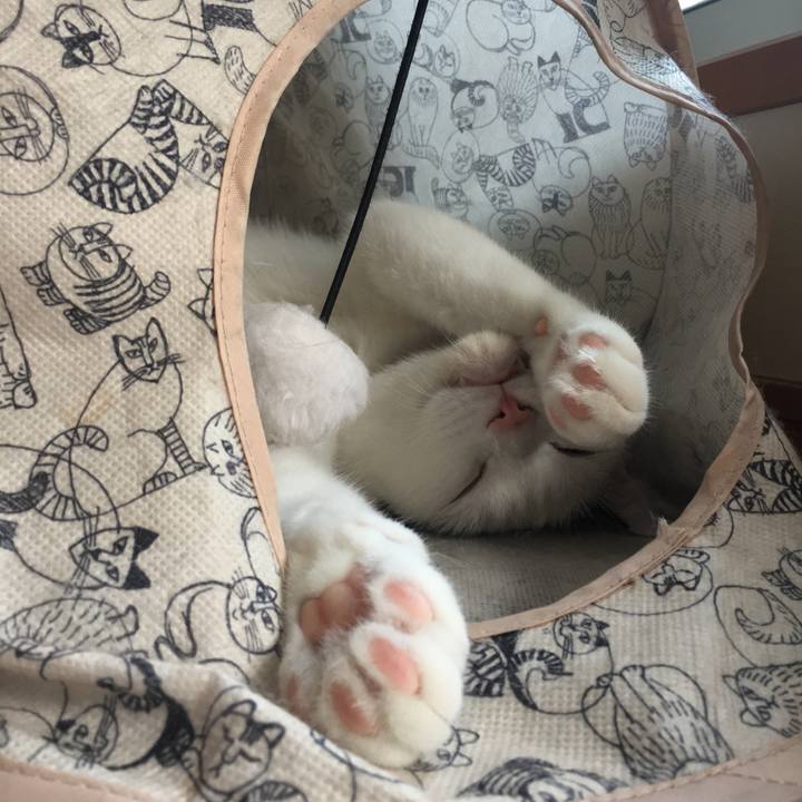 Fd810759 d058 4e15 a013 c96eb79ae3a0