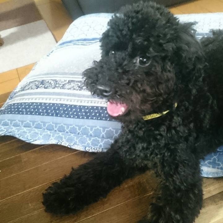 Fd817677 d847 48ec 8bc0 c4f5d3789175