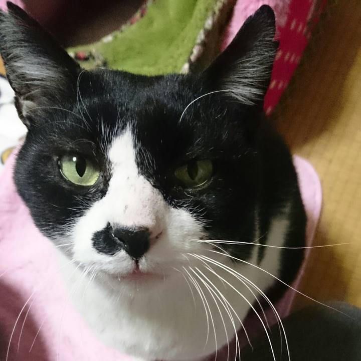 Fd82480c 31ed 4ba8 9105 9cccf7d7b6be