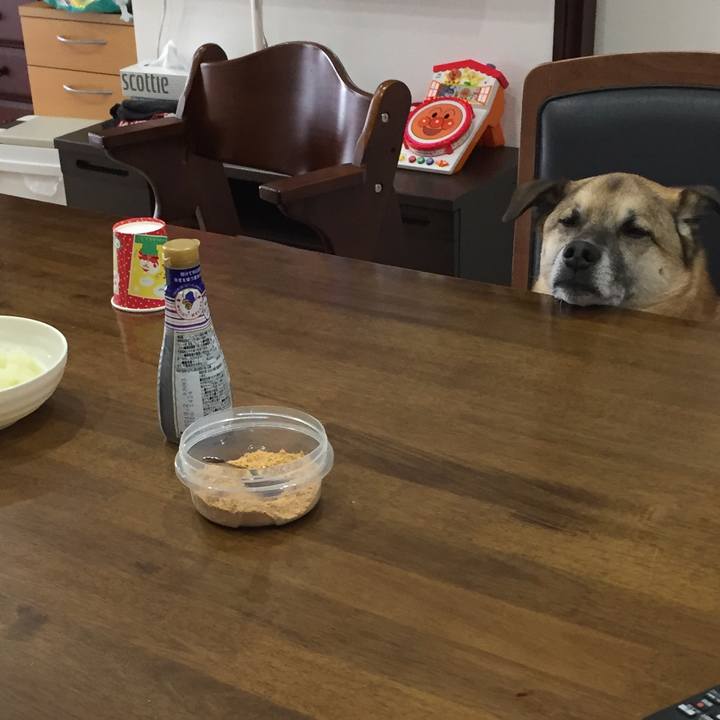 Fd825ccd aaa1 46db a254 2753a4f02168