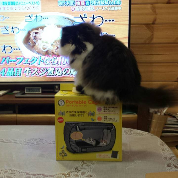 Fd825d6d 5db1 4bde b1c9 509fa2913c15