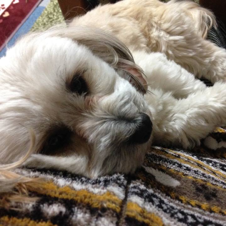 Fd82b3ee 5a1e 41e5 bc3f ddb4560648c6