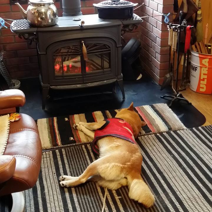 Fd82cb78 f3e9 4218 8366 75bce2710846