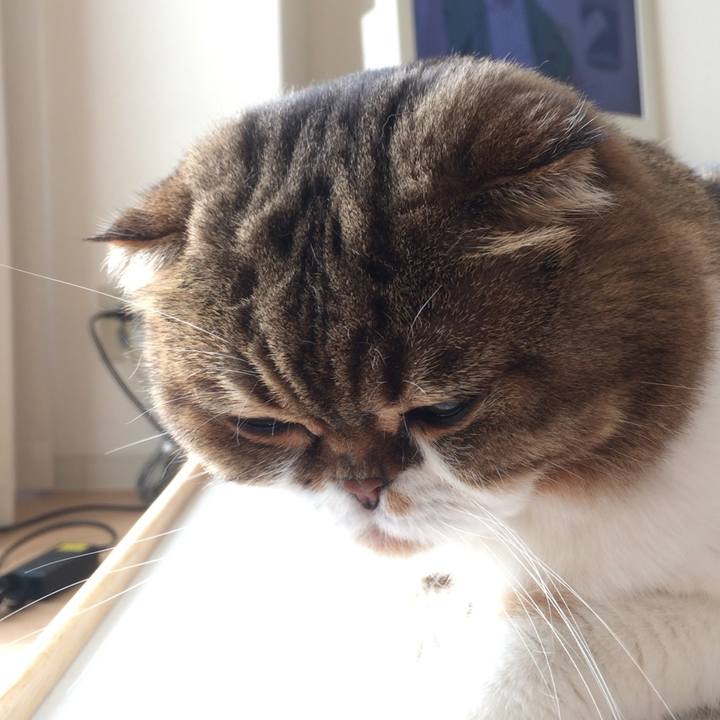 Fd82ee38 2330 402d b9df 642190a1aab4