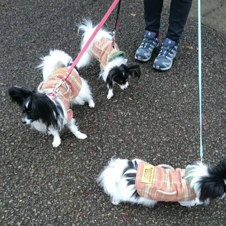 Fd831aee 6fb7 44f2 bdcc 45d719b4e063