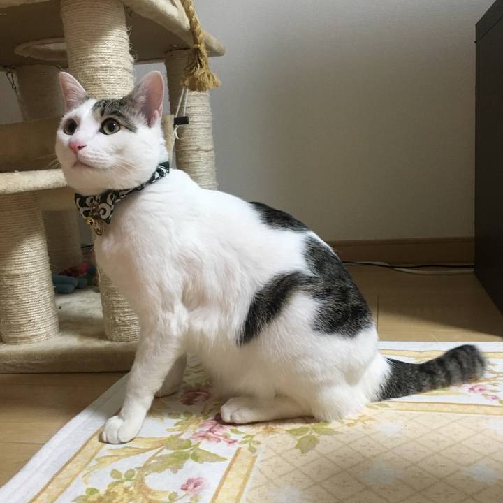 Fd836456 2ece 4178 872c d8601ef60224