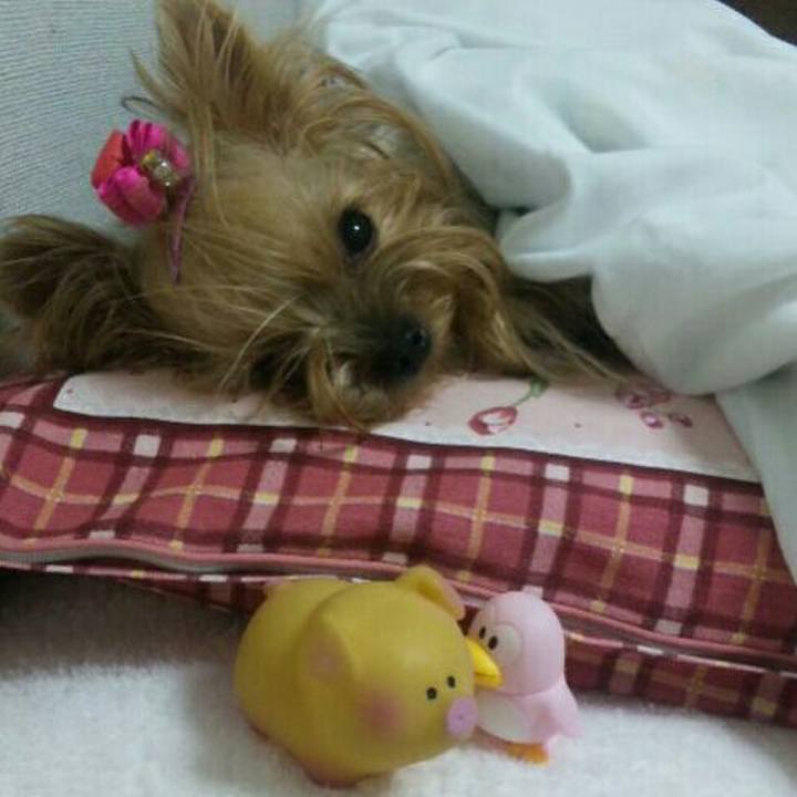 Fd837879 56c4 4638 92cd d27793d89738