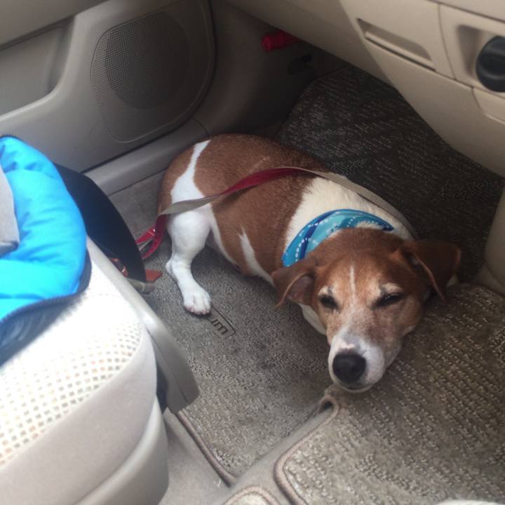 Fd8393be b499 41f3 ae8b a417e48611a7