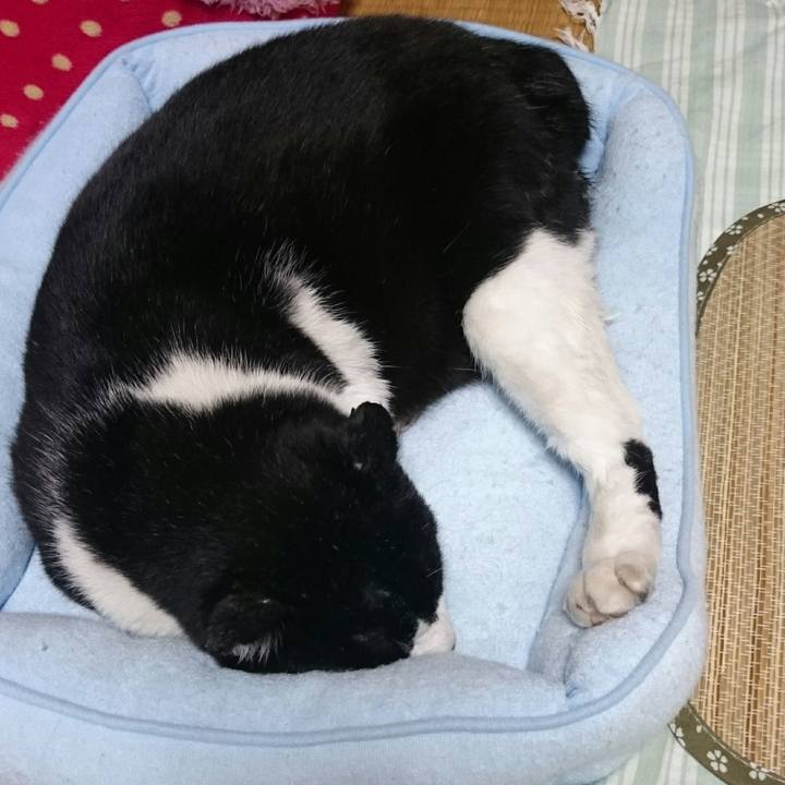 Fd842bae 204e 4020 89ea 60aabc8762b6