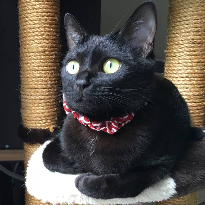 Fd84d174 c6fb 4183 8b47 7ab4dcfc9c14