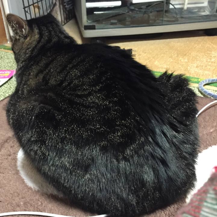 Fd854d87 3302 47ac 86b6 2a21410db022